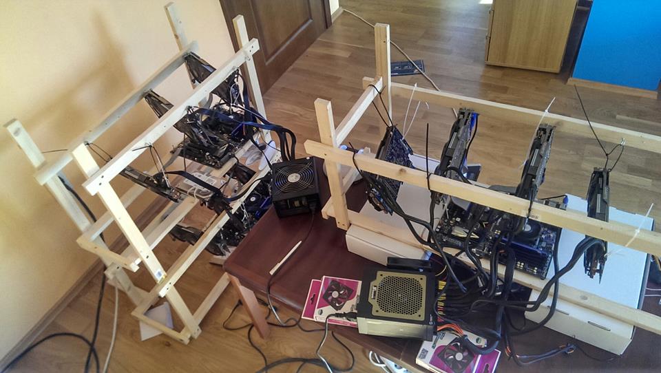 1396448_10152046104503846_273166039_n.jpg