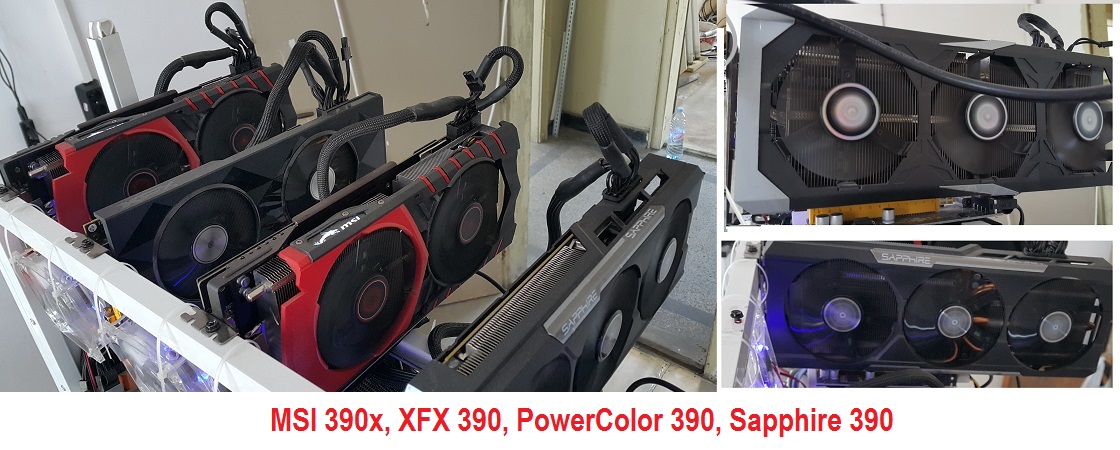 390.jpg