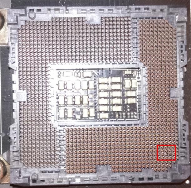 socket.jpg