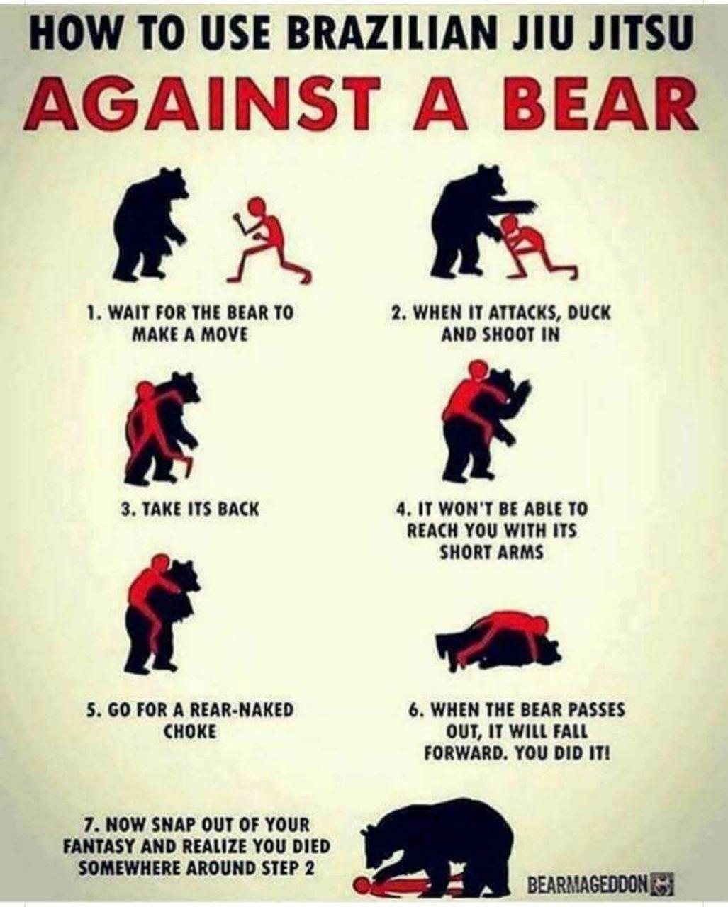 Brazilian Jiu Jiitsu aginst the Bear.jpg