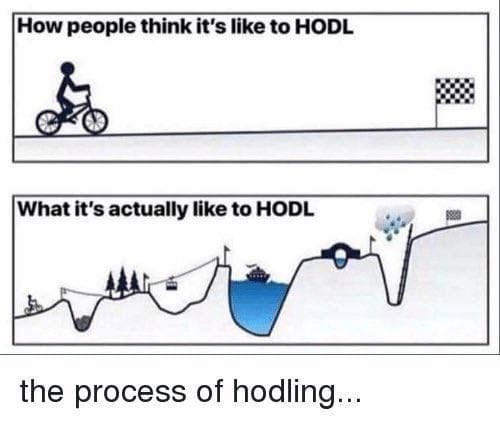 Process of HODL.jpg