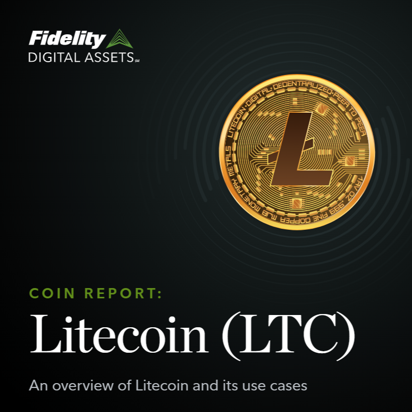 litecoin-report.png