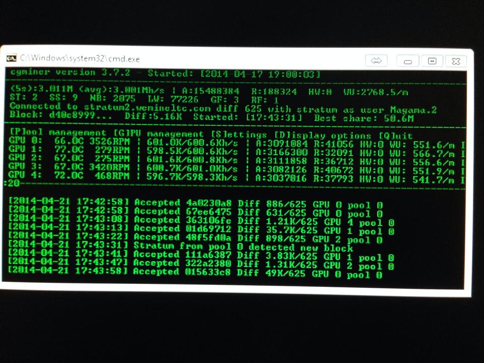 10150776_4123077612118_5708502472528540_n.jpg