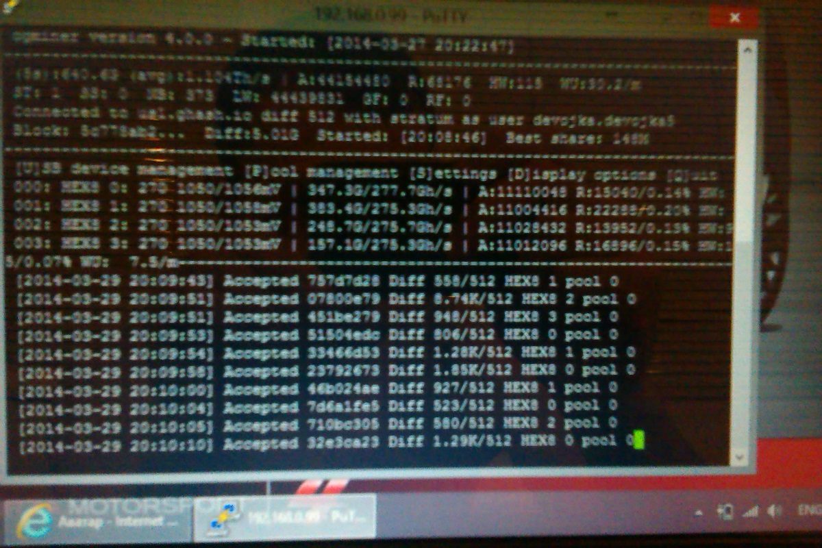 IMAG0302.jpg